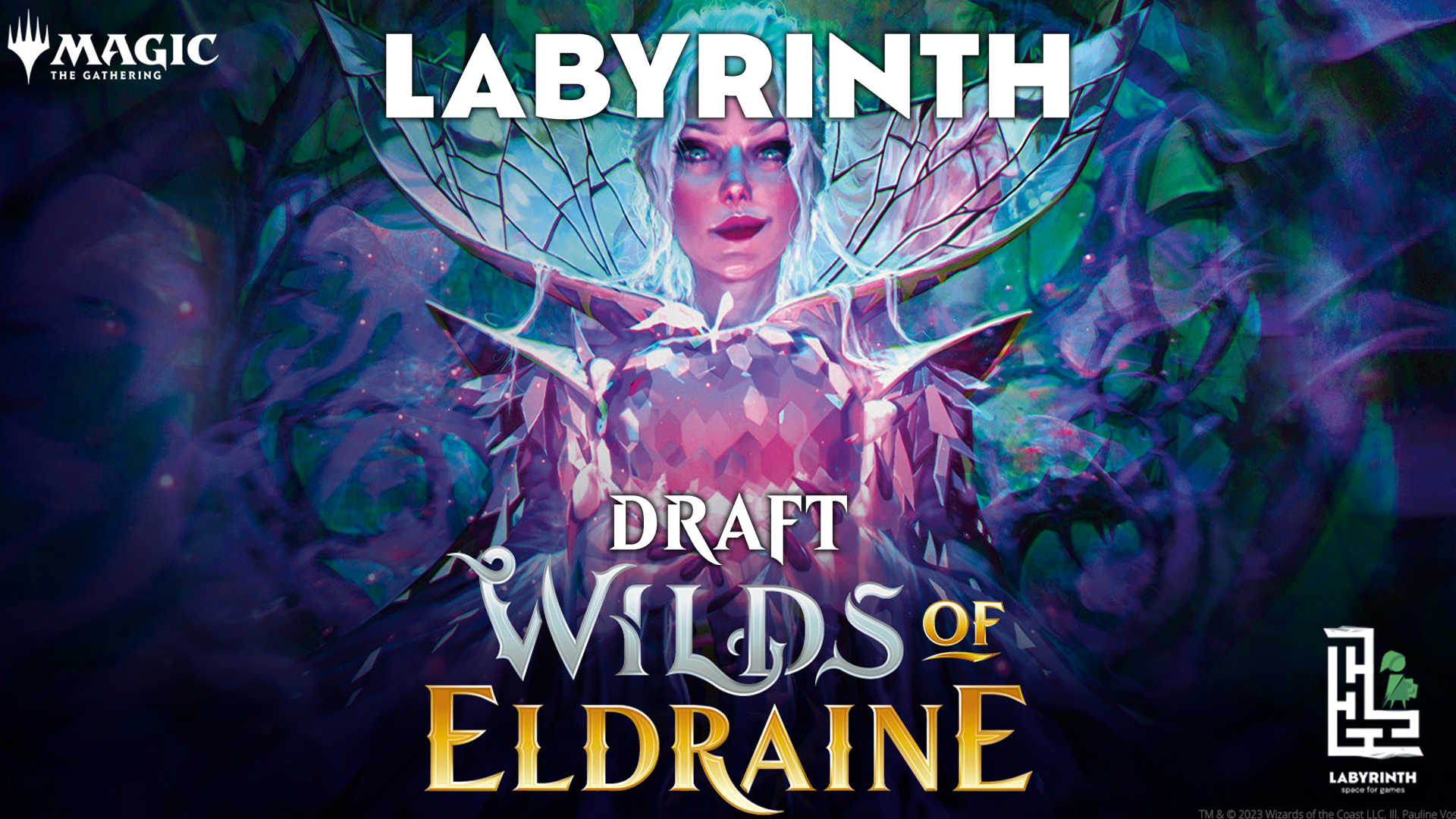 Store Championship draft MTG Wilds of Eldraine (24-11-2023)
